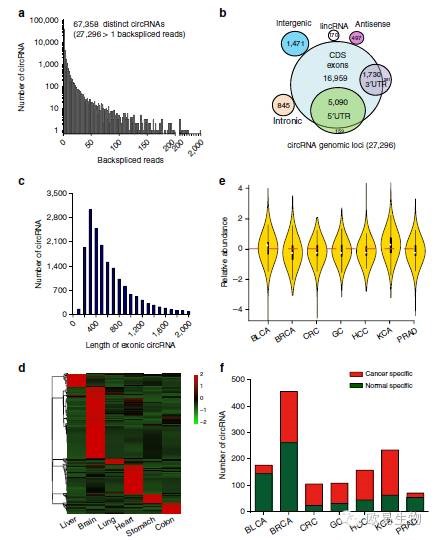 circRNA2