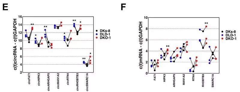 circRNA4