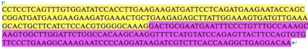 circRNA6