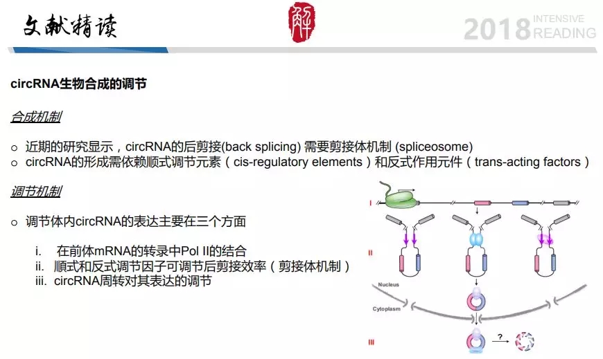 5.webp